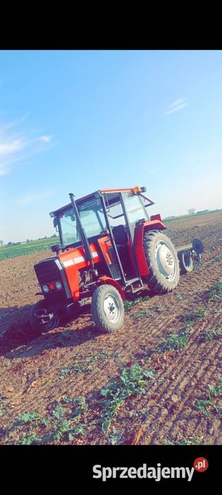 Massey Ferguson Szczawin Kościelny sprzedam