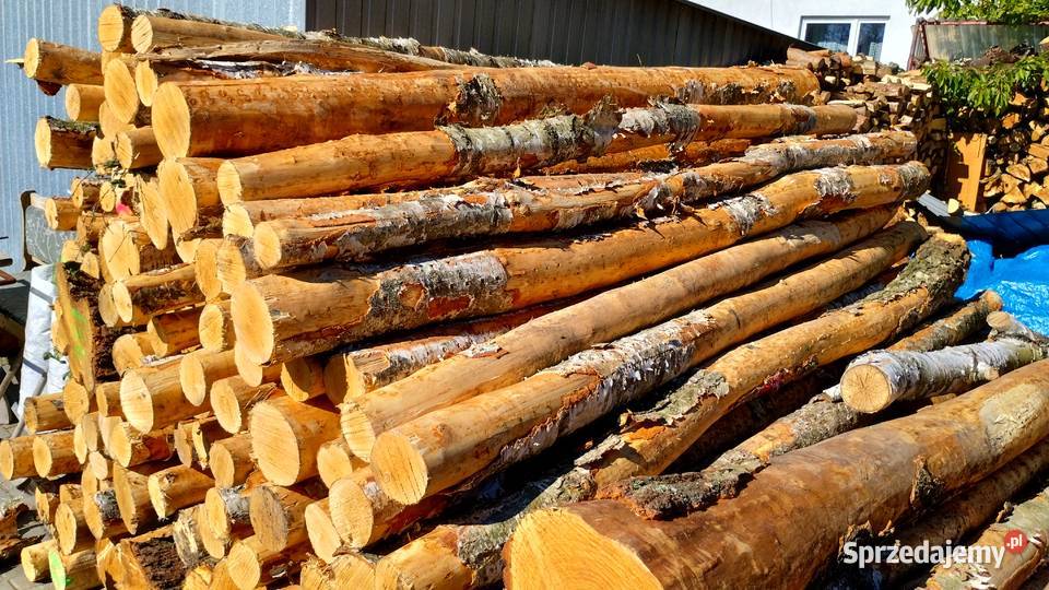 Drzewo drewno opałowe kominkowe rozpałkowe Koziegłowy sprzedam