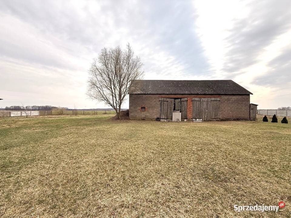 Dom z potencjałem i dużym zapleczem Łączewna gm wielkopolskie sprzedam