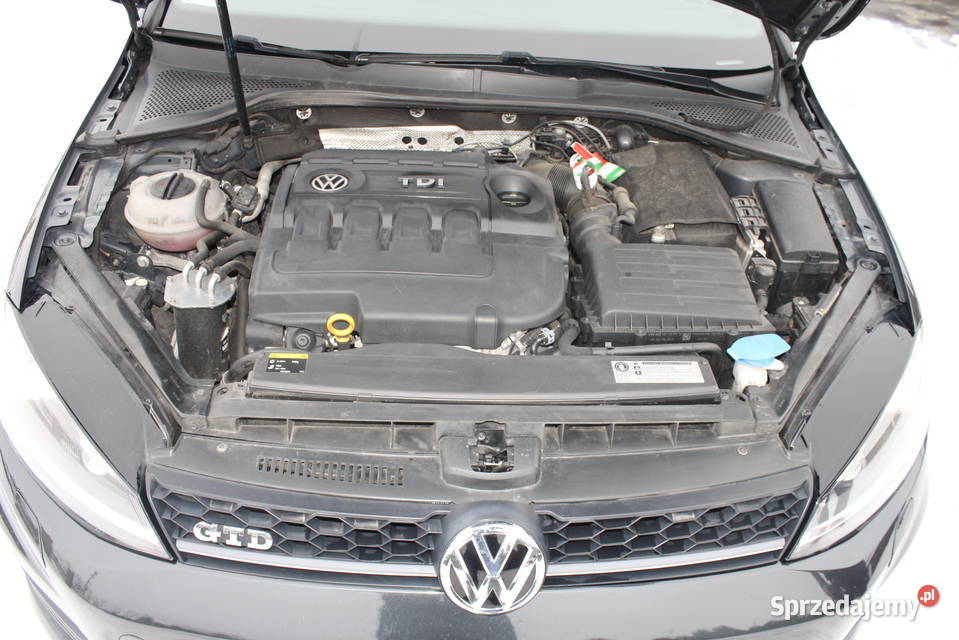 GTD GOLF VII 185KM Motoryzacja Gołańcz