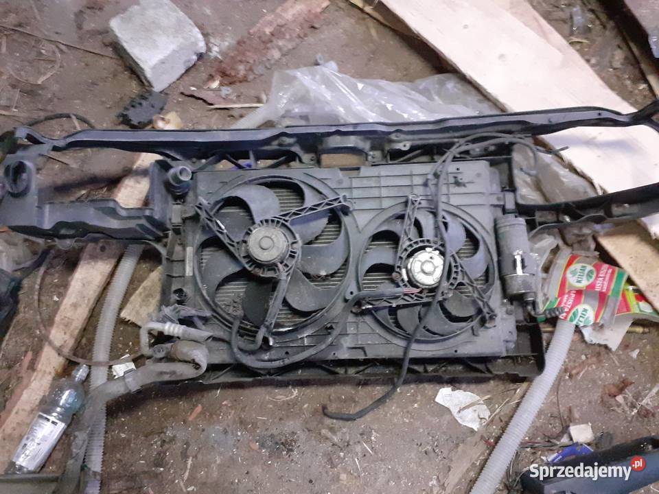 CHLODNICA Z GOLFA 4 opolskie Nysa sprzedam