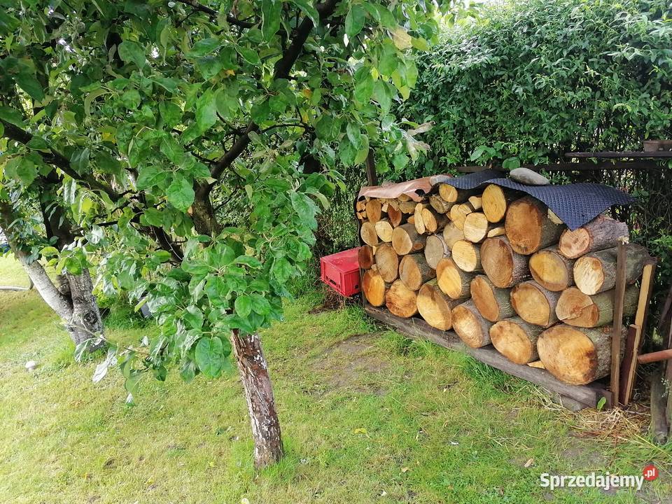 Działka rekreacyjnaogródek działkowy Racibórz