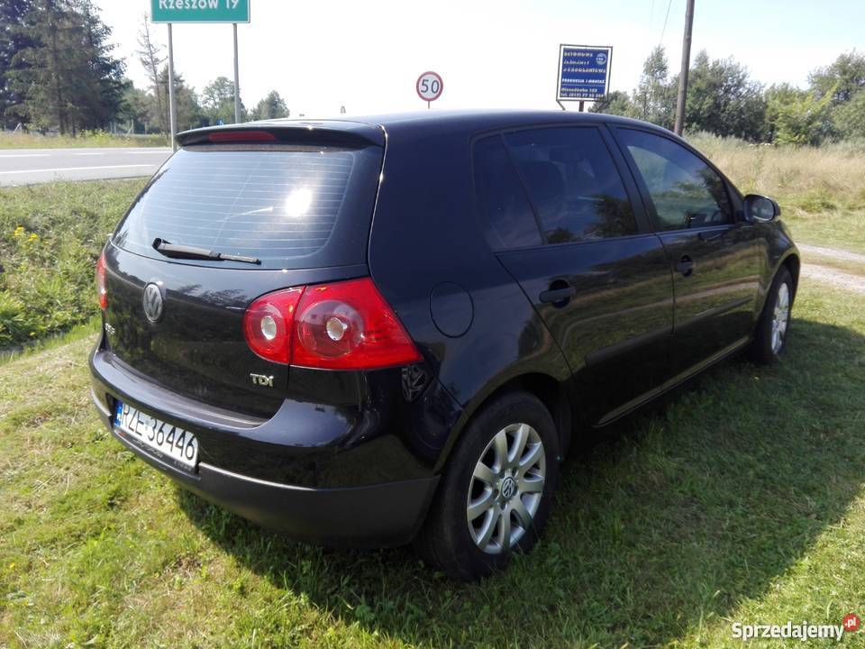 Volkswagen Golf 5 19 TDI 105 5 drzwi przyciemniane szyby