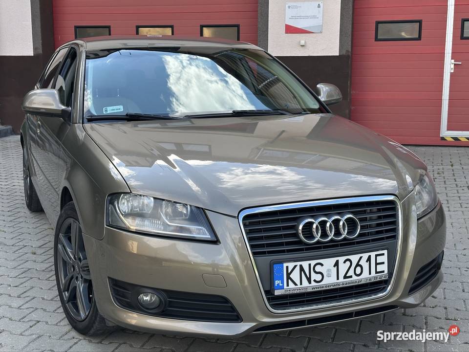 Audi a3 2009 19 tdi 105 lift Grybów