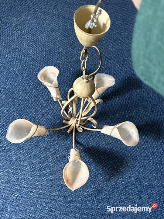 Żyrandol do salonu Grudziądz