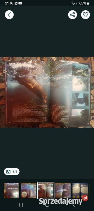 Morza i oceany Atlas Mapy i przewodniki Siemianowice Śląskie