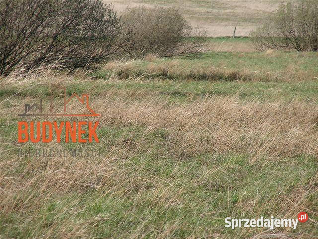 Działka rolna Karsino 228m Sprzedaż