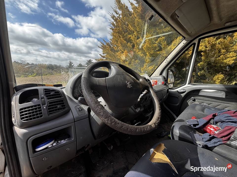 Bus Peugeot Boxer Międzyrzecz