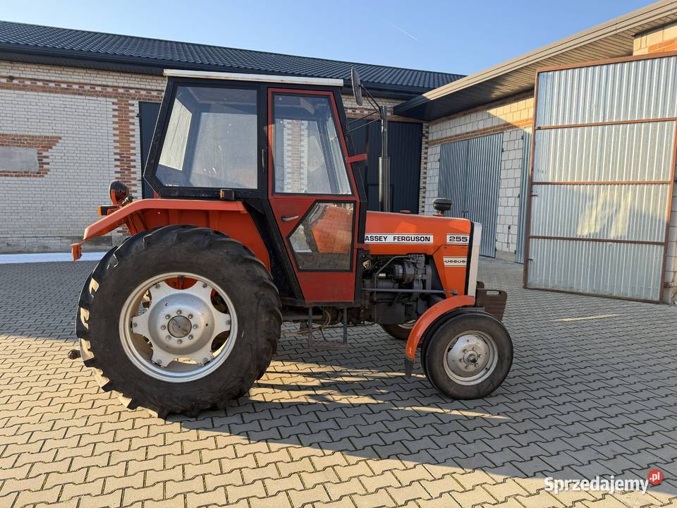 Ursus Massey Ferguson 255 1490 mtg Cedrowice-Parcela