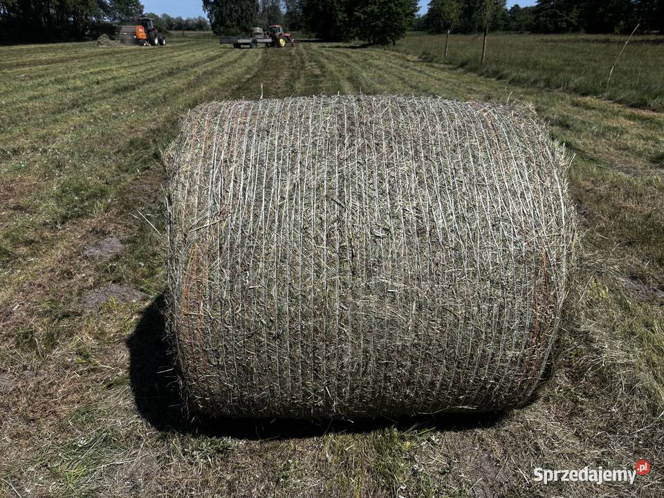 Sprzedam siano Umianowice