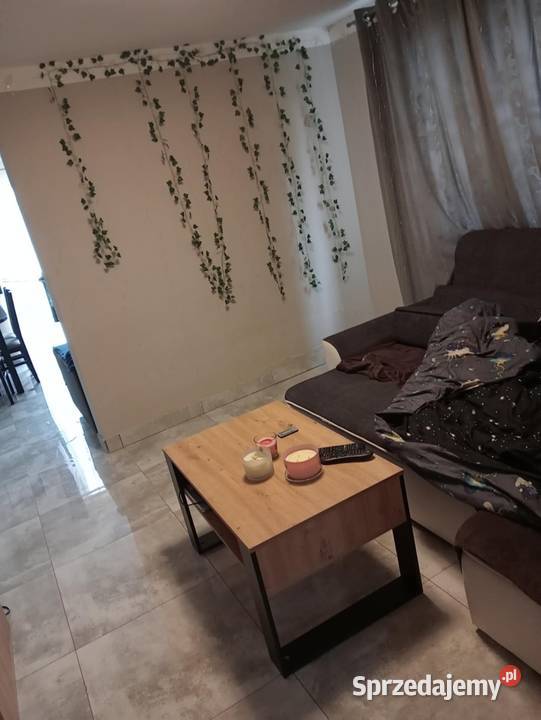 Dom parterowy Sprzedaż Brodnica