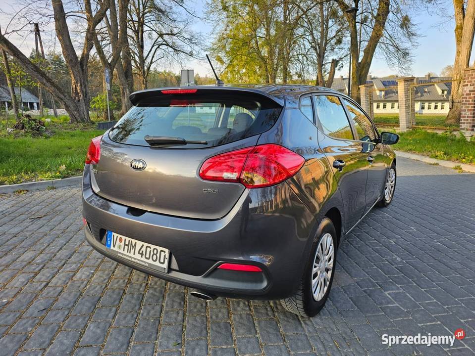 Świeżo sprowadzona Kia ceed 14 CRDi 2013 klimatyzacja Samochody osobowe