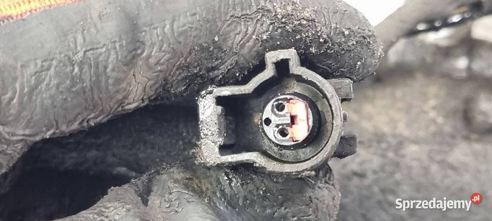 SPRĘŻARKA KLIMATYZACJI FORD FOCUS MK1 Pozostałe