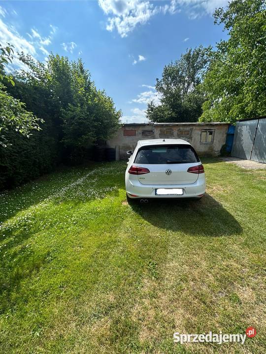 Volkswagen Golf VII Golf dolnośląskie Czernina
