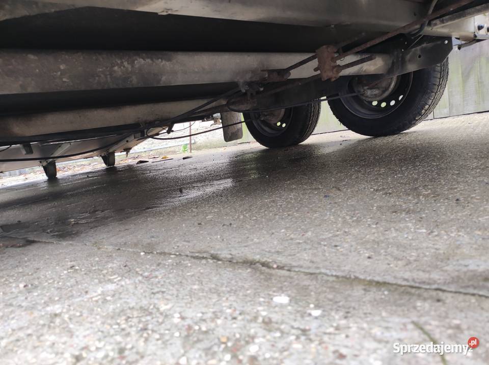 Przyczepa do koni Brenderup Zgierz sprzedam