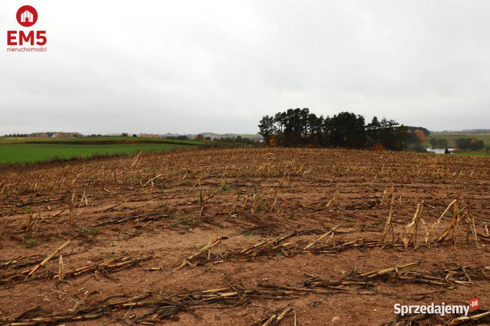 Działka 12000m2 Żegary Sprzedaż sprzedam