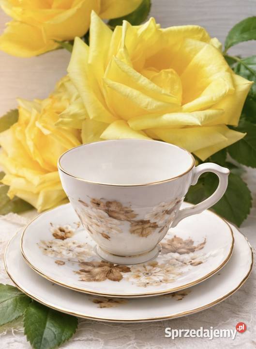 Duchesangielska porcelana kostna filiżanka ze Antyki, Sztuka, Kolekcje