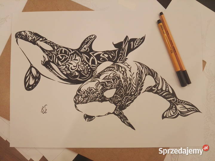Rysunek wieloryby 1 cienkopis blok tech A3 250 Warszawa sprzedam