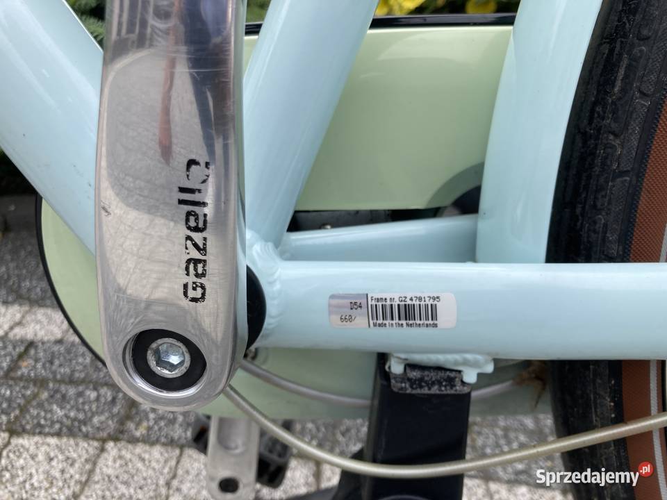 Gazelle Miss Grace Kraśnik