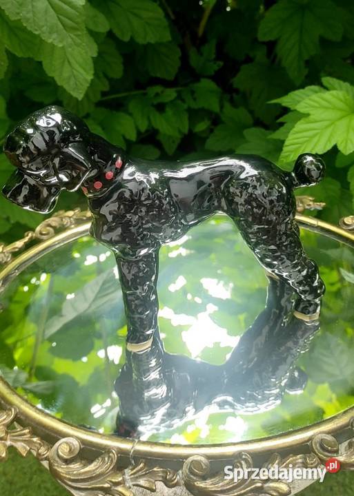 PIES PUDEL CZARNY KOLEKCJONERSKA FIGURKA Pabianice sprzedam