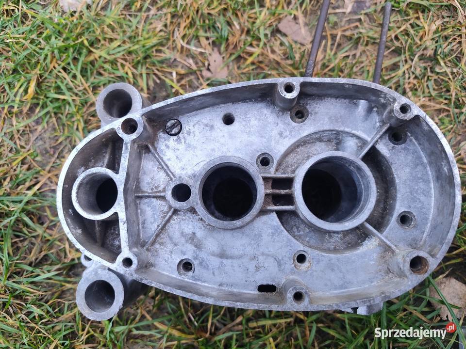 Kartery komar Kartery Łańcut