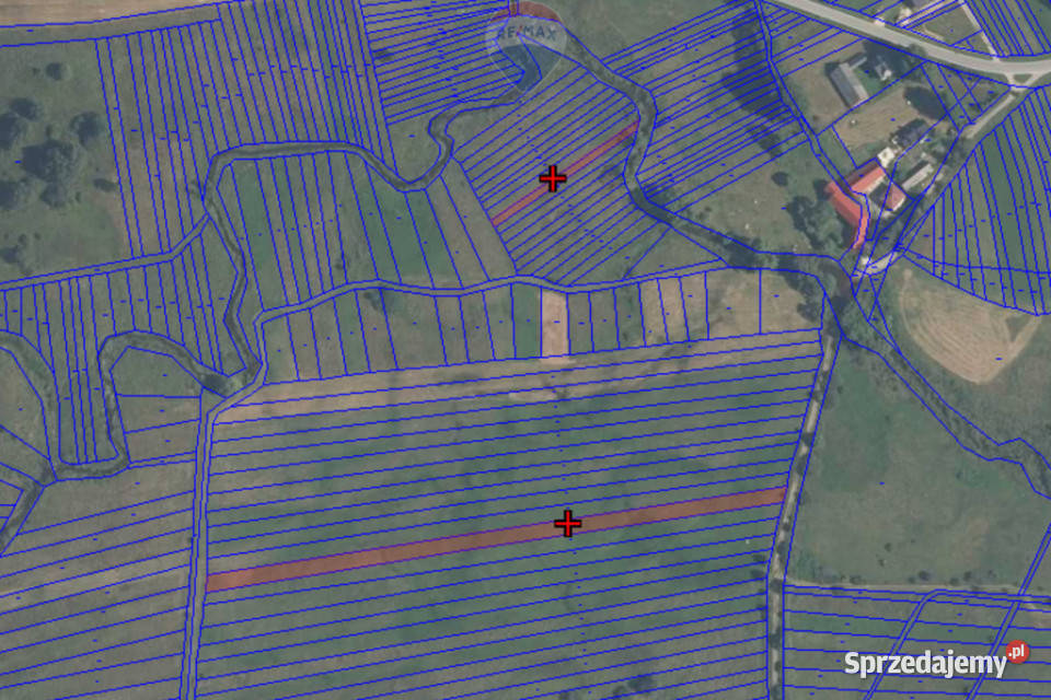 Działki rolne Dział