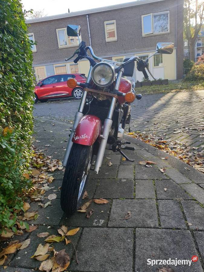 Sprzedam honda shadow Miłogoszcz