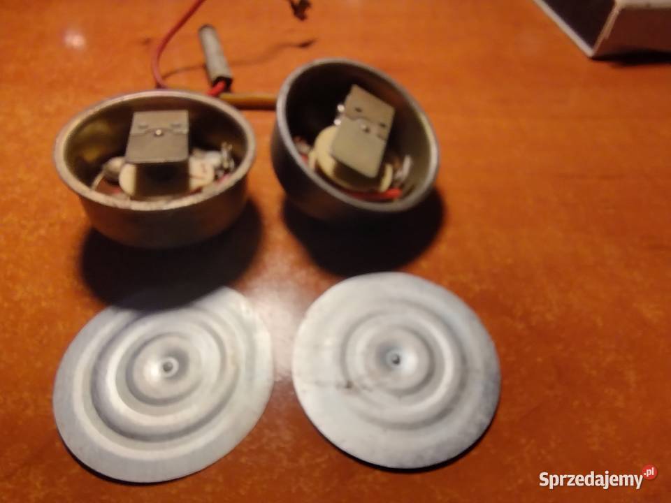 Sygnał komar sztywniak wielkopolskie