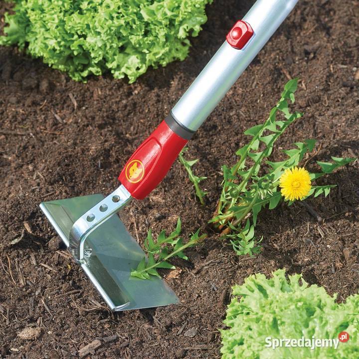 Motyczka HWM 15 Wolf Garten podkarpackie