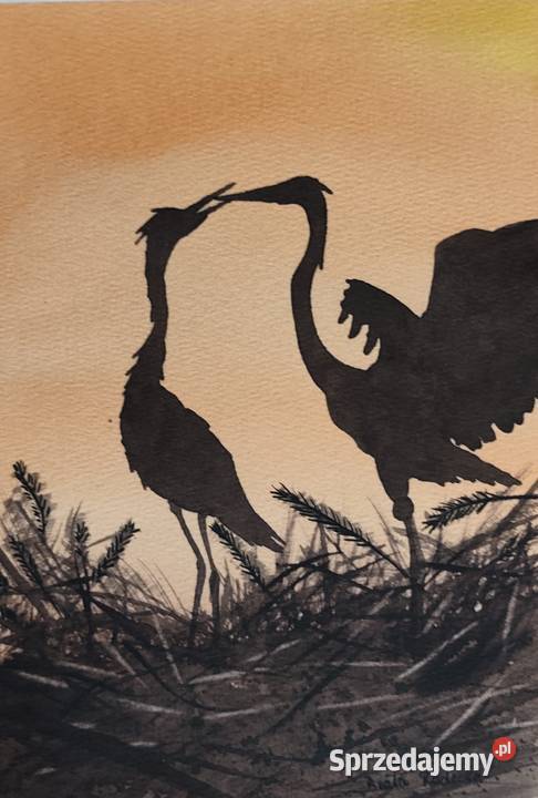 Akwarela Czaple 2 Ręcznie malowana Unikat 27x19 Szczecin