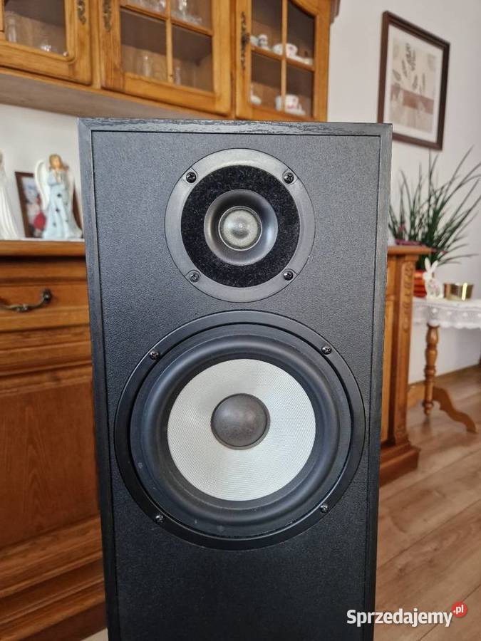 Kolumny Pylon Pearl 20 Para Pozostałe Ryki