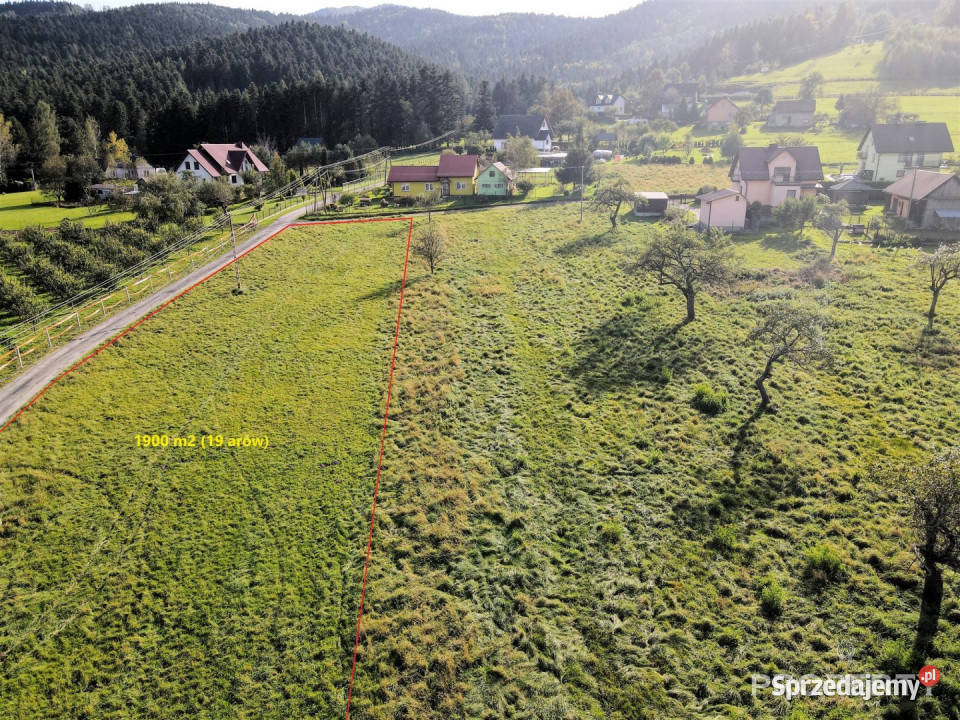 Ogłoszenie grunt 1900m2 Łazy Brzyńskie 1900m2