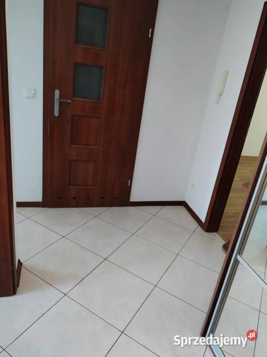 Wynajmę BIAŁA PODLASKA ŻEROMSKIEGO Liczba pokoi 2 Biała Podlaska