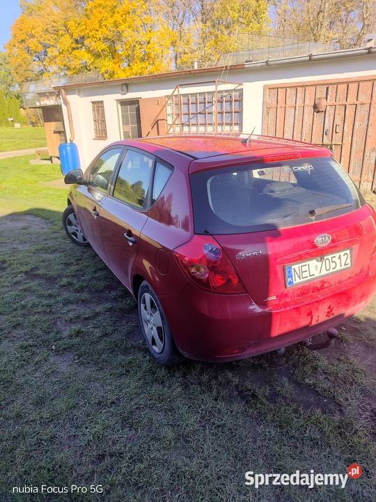Kia Ceed 14 benzyna Sprzedam Zarejestrowany w Polsce warmińsko-mazurskie Ełk