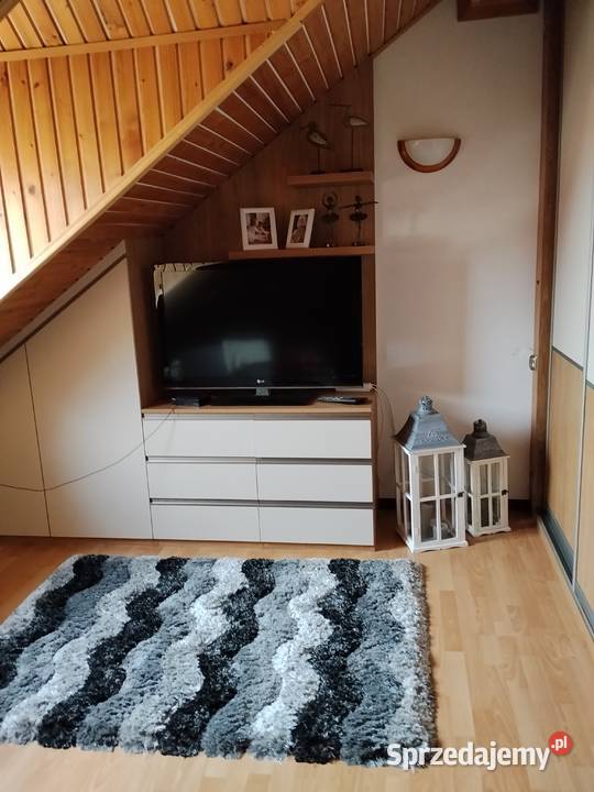 mam pokój do wynajęcia na Opener Festival