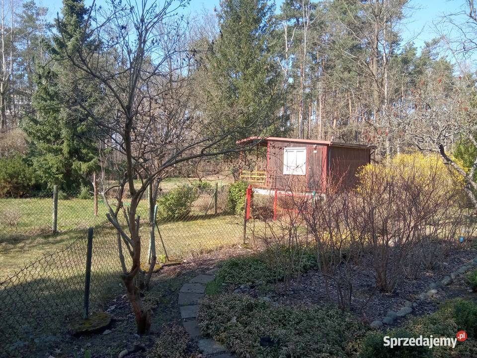 Działka ROD pod lasem Rembertów