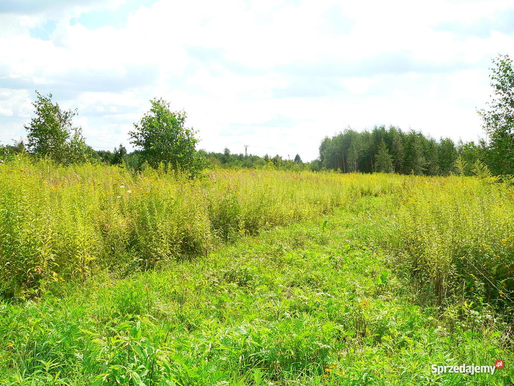 Działka Skierniewice