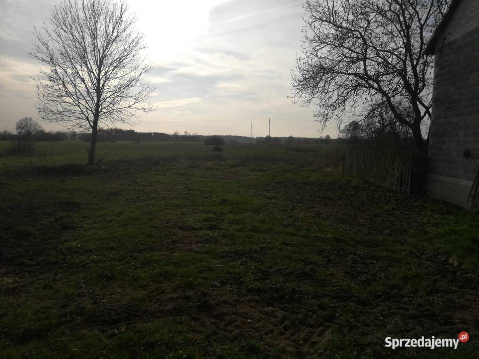 Dom wolnostojący z zabudowaniami wolnostojący