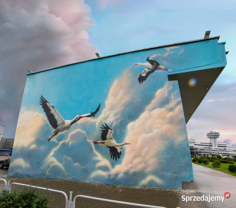 Artystyczne malowanie pokoju Murals pomorskie Gdańsk