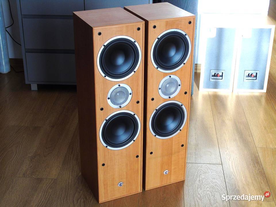 Kolumny Cat 2 x 380 wat ładne DOSTAWA