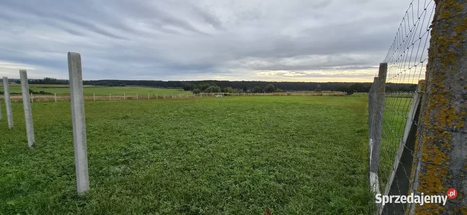 Wyjątkowa działka 3200 m z Warunkami Zabudowy Radgoszcz sprzedam