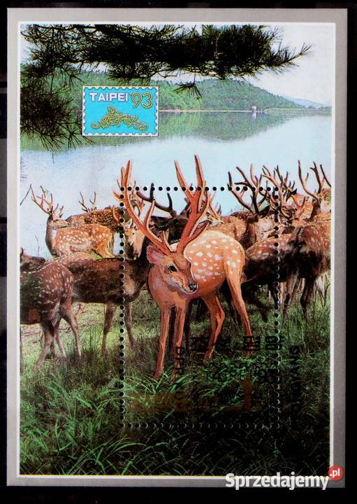 Korea blok fauna Oborniki