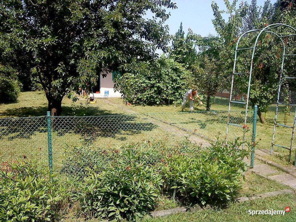 działkę ROD ogródek działkowy Kraków Kraków