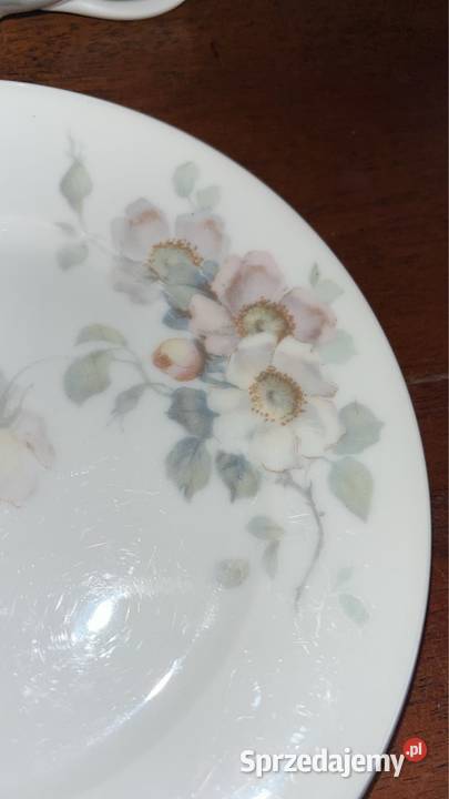 Filiżanka z talerzykiem Rosenthal Thomas Bavaria pomorskie Gdańsk