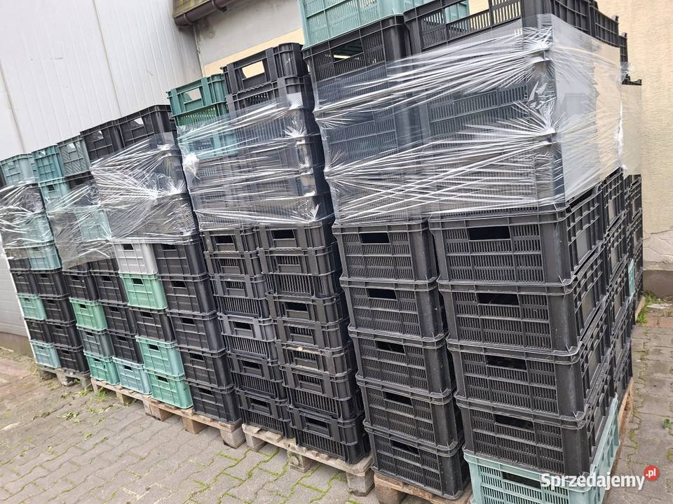 Skrzynki plastikowe owoce warzywa Podzborów