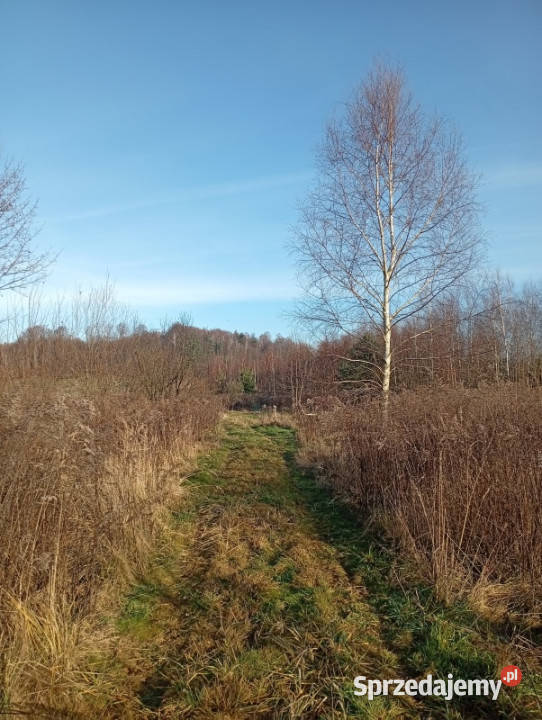 Sprzedam działkę budowlaną utwardzona Ludwinów