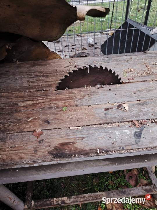 Krajzega Milicz sprzedam