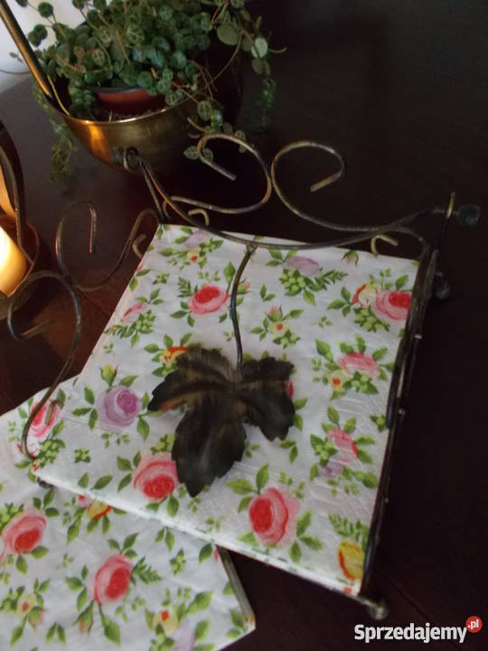 Serwetnik z Przyciskiem Metalowy Serwetnik Szczecin