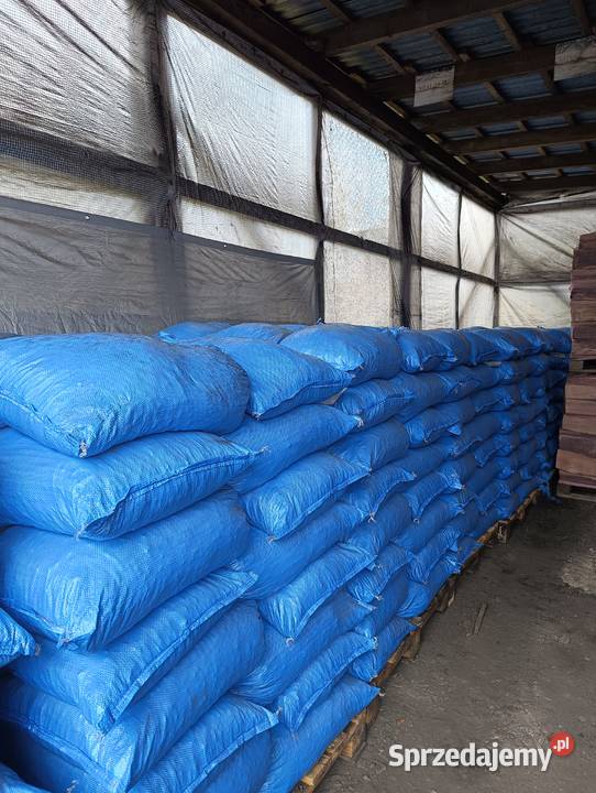 Workowany groszek pakowany 20 i 25