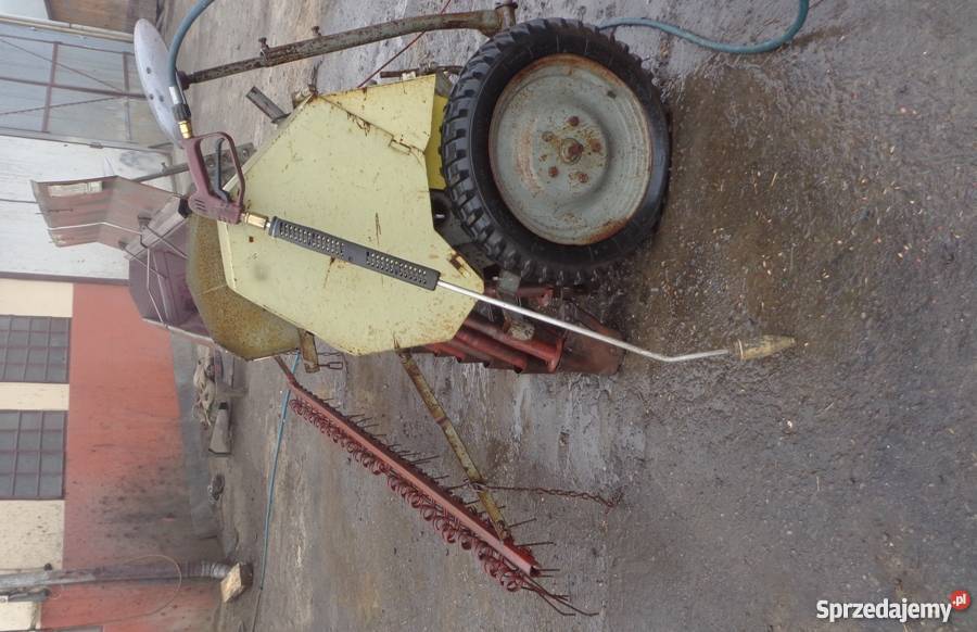 Siewnik Poznaniak Sadzenie/siewniki podkarpackie Kamionka sprzedam